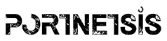 PORTNETSİS